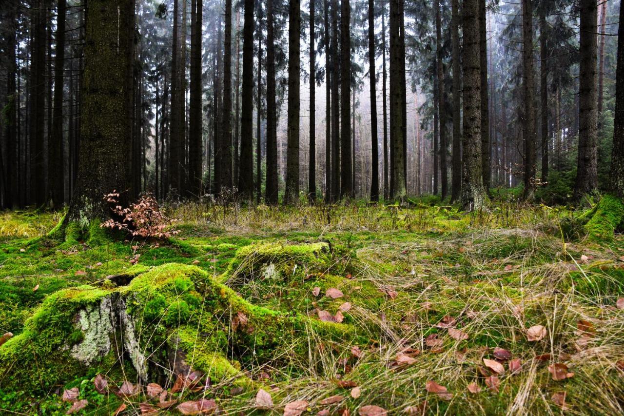 Hostinec A Penzion U Rezku Jistebnice Buitenkant foto